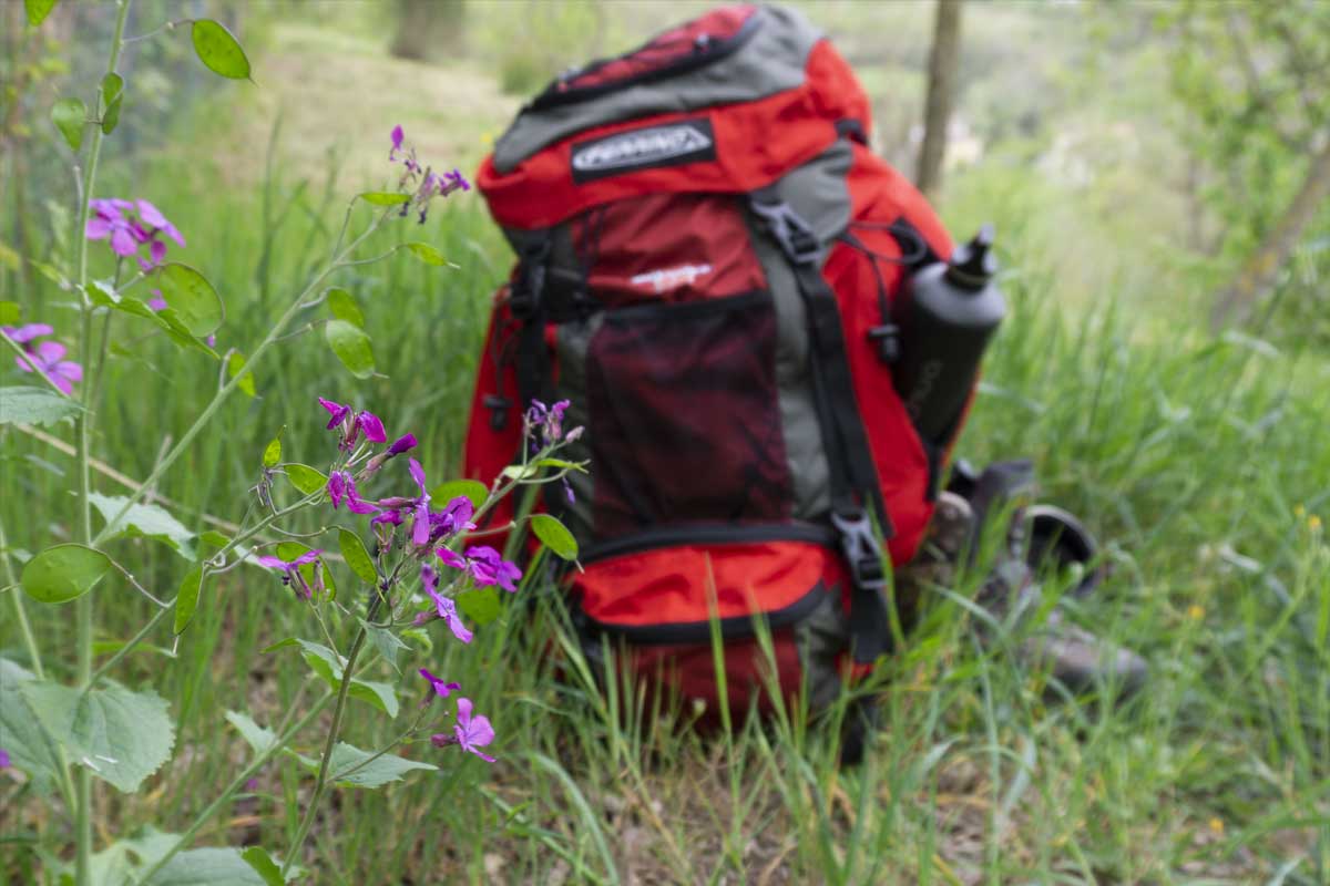 Domenica 20 luglio: passeggiata da Gavigno