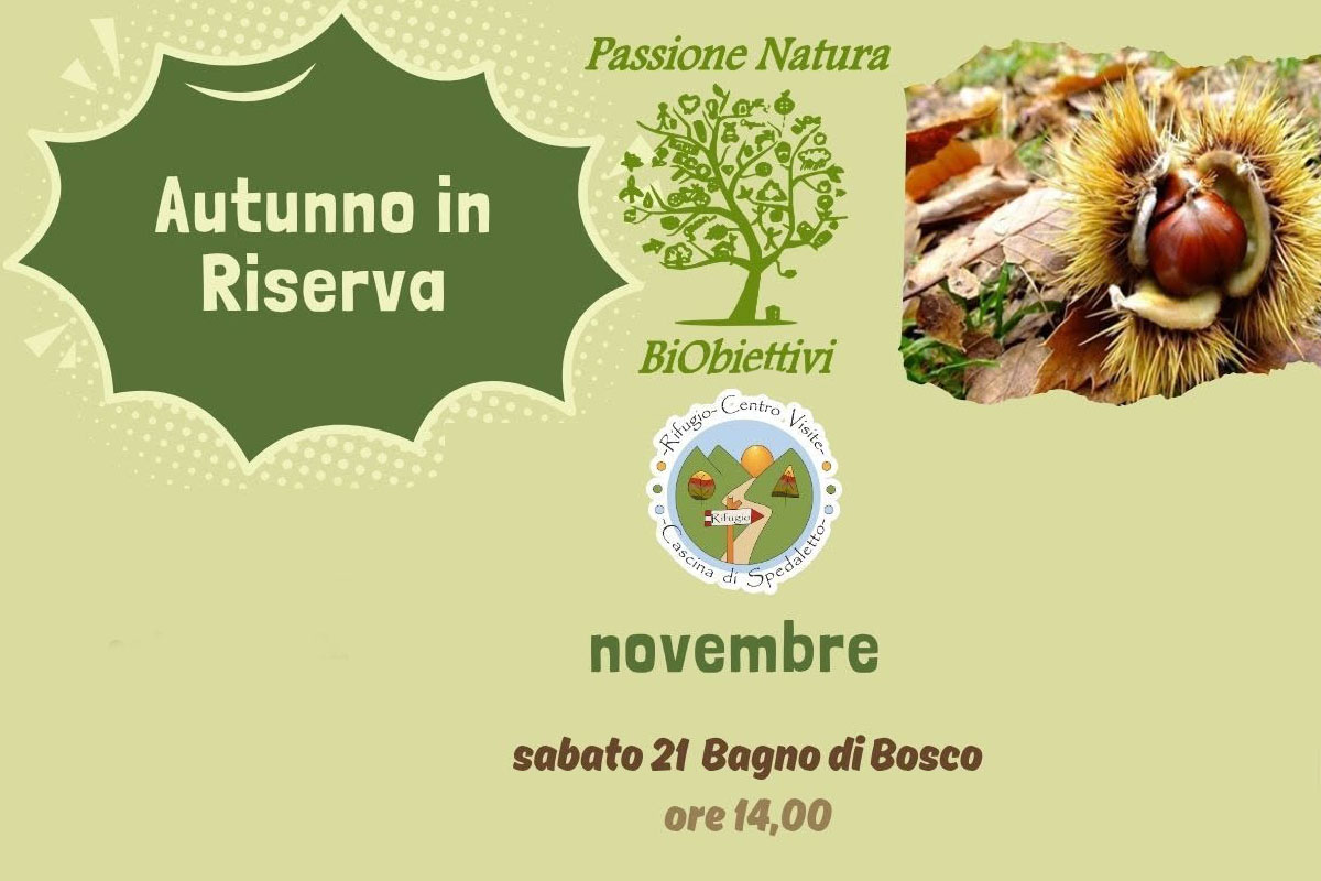 Sabato 21 novembre: bagno di bosco