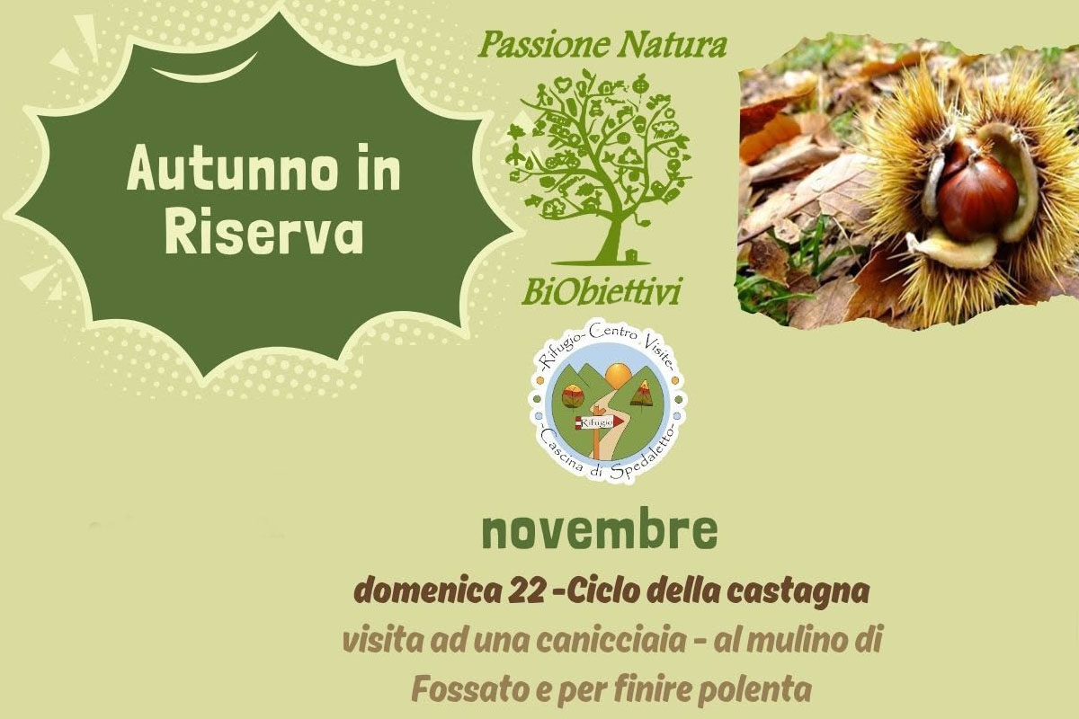 Domenica 22 novembre: ciclo della castagna
